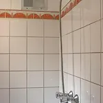 De Mallemoolen Amsterdam